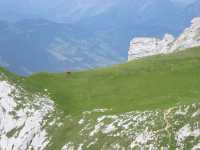145-4559_IMG V'la l'helico